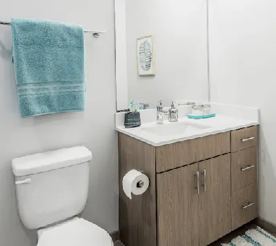 Student 4 Bedroom Apartments